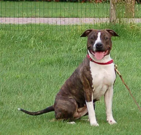 Kelly Over The Rainbow