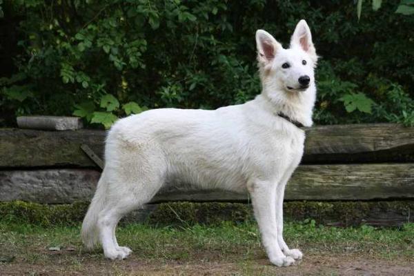 Made to Measure Lady Lara