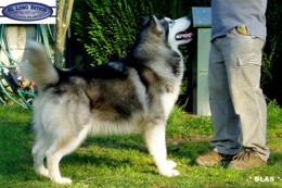 Staghorn's Full Of Myself