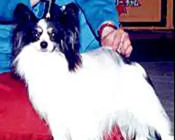 INT GB JP CH Gonmyn Inspiration