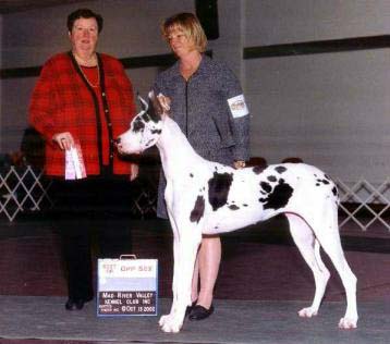 RainMaster's Magic Moment