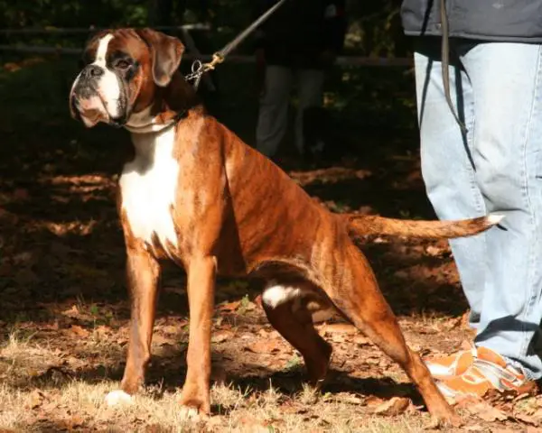 CH Caesar du Domaine des Trois Vallées