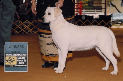 Chambrays Bailey Irish Cream