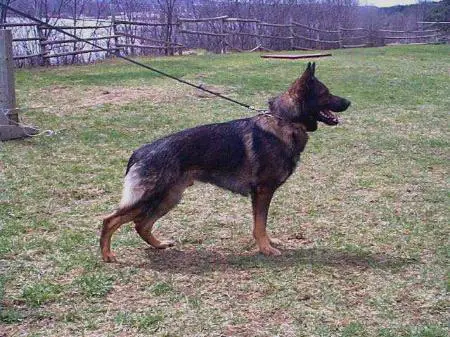 Whisky von der Heidenschanze