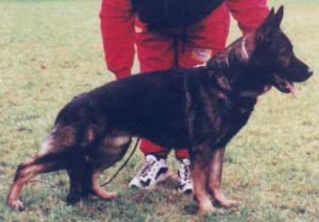 G Cash vom Karlmitblick