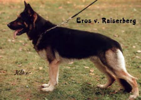 V Eros vom Raiserberg