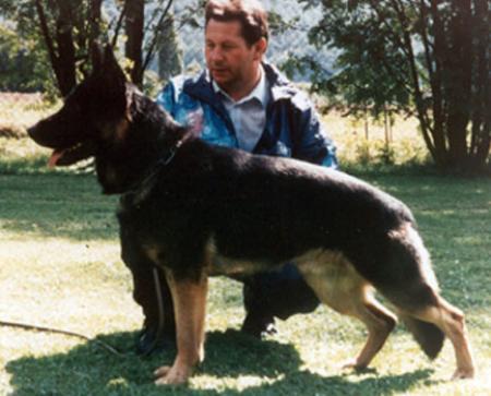 Arko von der Parkstraße