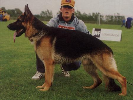 VA1 (DK) Heidum's Quick