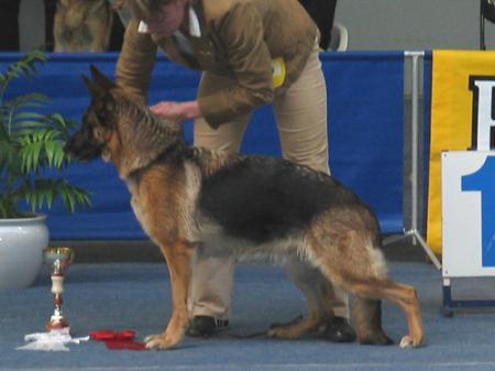 ISW-02 C.I.B ISCH Gunnarsholts Baroness