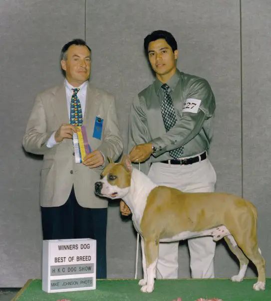 Sierra's Hawaiian Supermen