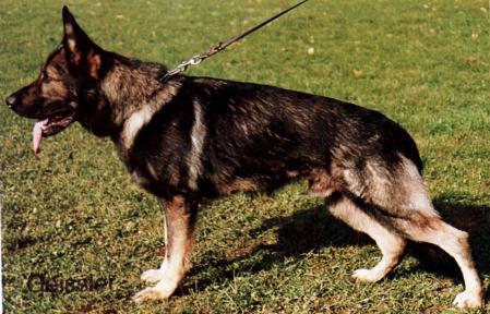 V Cliff vom Schwedenbrunnen