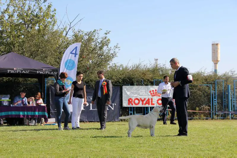 CIB La Bomba Asti Mondoro