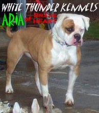 WTK's Black Aria of BH