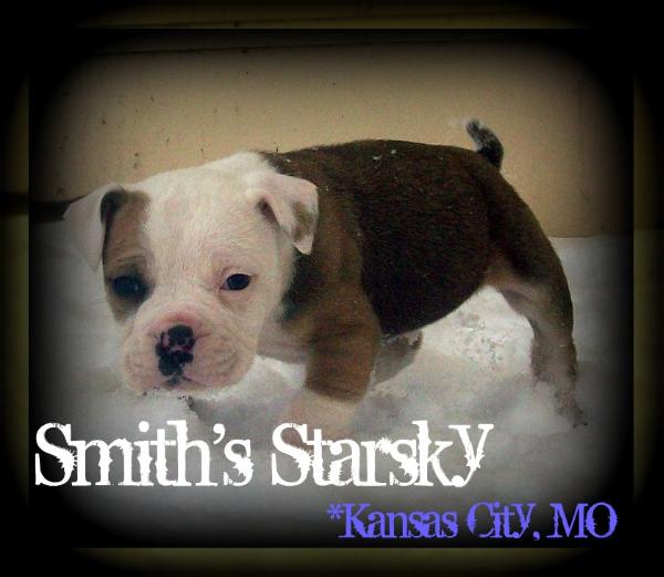 Smith's Starsky