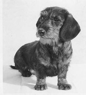 GS'62 Heide von der Ritterloh