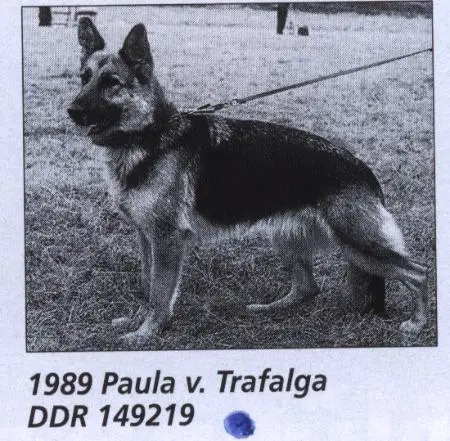 DDR SGRN 1989, VA Paula von Trafalga