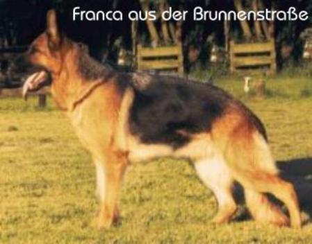 V (LGZS) Franca aus der Brunnenstraße