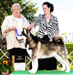 CH. Storm Kloud's Key to The Past