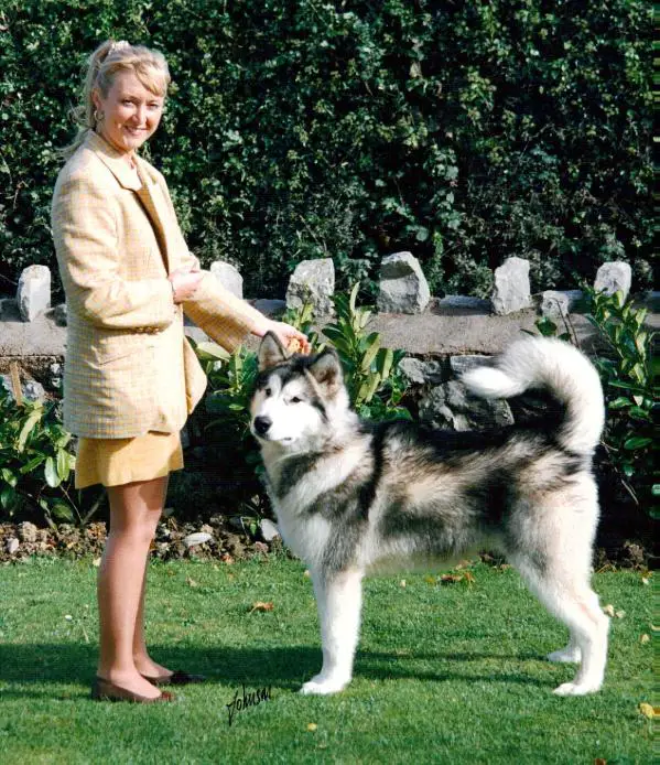 Bassbarr Kool Kustomer at Chayo