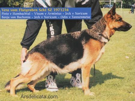 V Vera vom Flutgraben