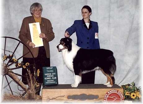 AKC CH Moonstrucks Power And Glory