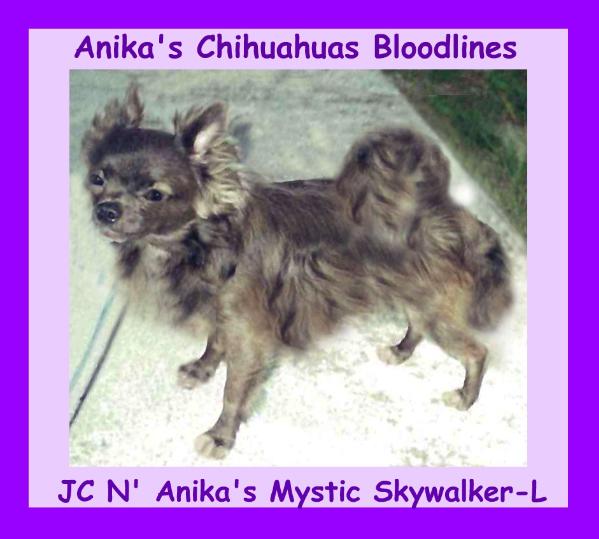 JC Anika's Mystic SkyWalker