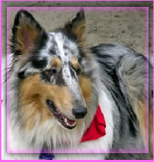 Glendale's Smoke and Mirrors