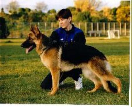 V Eisha vom Nadelhaus