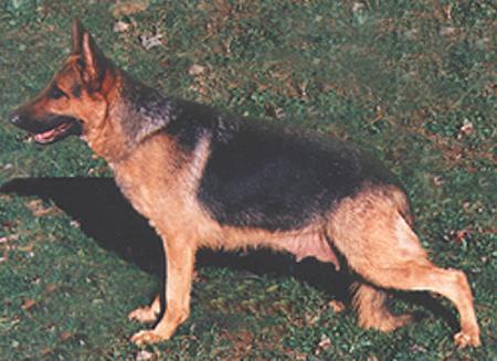 V Irma di Val del Tiglio