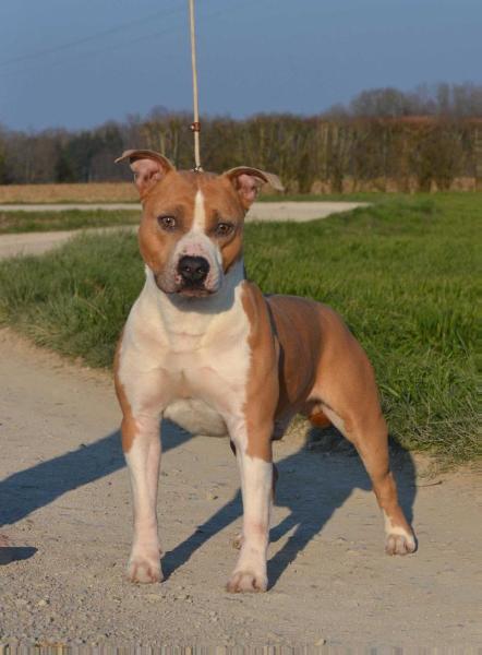 Ultimate Truth Eliott