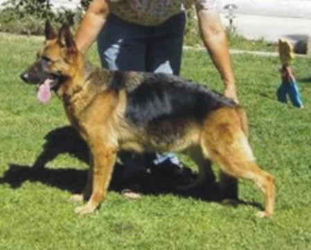 V Irka von den Hanfstucken