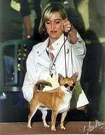 CH AMAROSE BLUE LAGOON