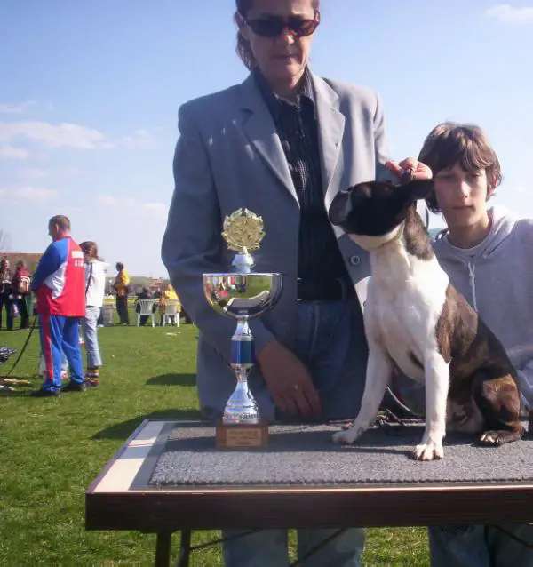 MULTICH Guliwer Al-Ka-Ir