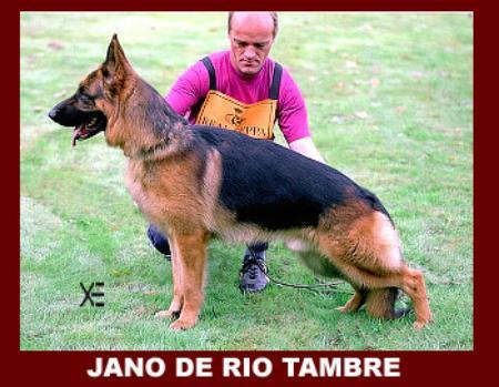 SG Jano de Rio Tambre