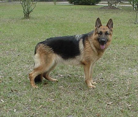 Xanthi zur silbernen Tanne