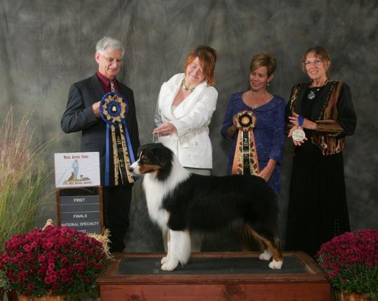 AKC HOFX GCH / ASCA HOF CH Hearthside Nothin To Lose