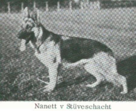 Nanett vom Stüveschacht