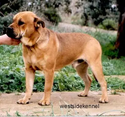 Mortero de Almallutx