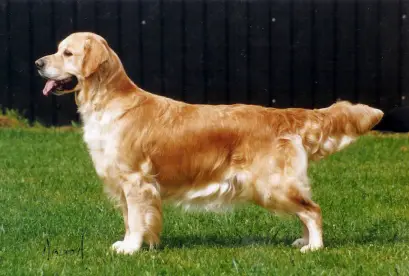 Millgreen Moonstruck