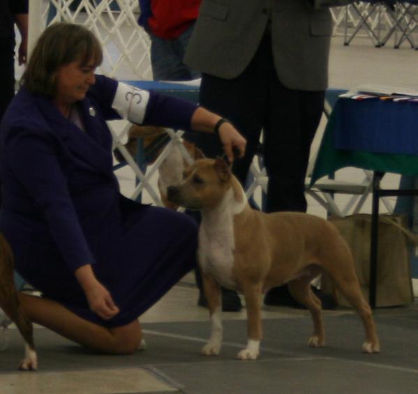 Cormyrs What Goes Around