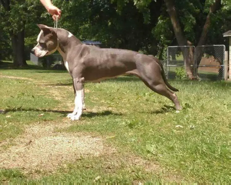 Mt Briers Don't Profile Me