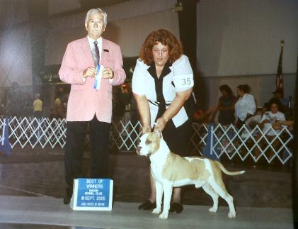 AKC CH Hurricane's Peeko