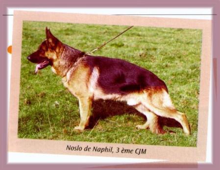 Noslo de Naphil