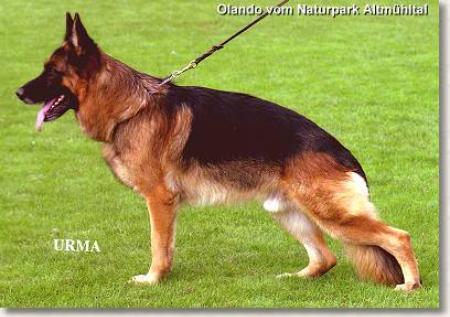 V Olando vom Naturpark-Altmühltal