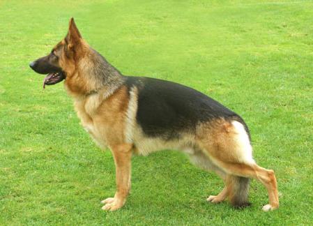 V Nilo vom Eichenplatz