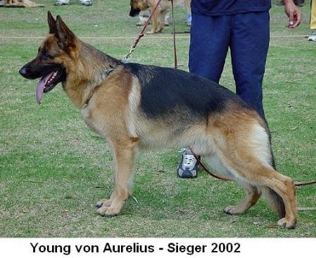 2XSGR VA1(COL)2002/3 Young von Aurelius