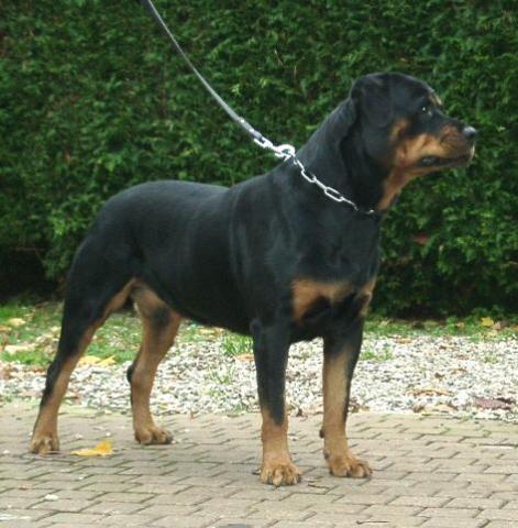 Ina von der Quellenburg