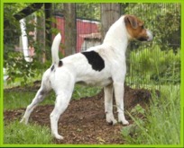 Little Eden Bagpiper