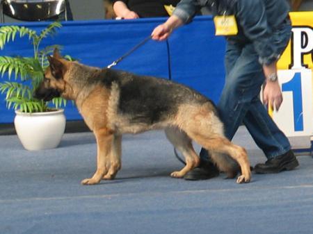 Jötna Alma Hugprúða