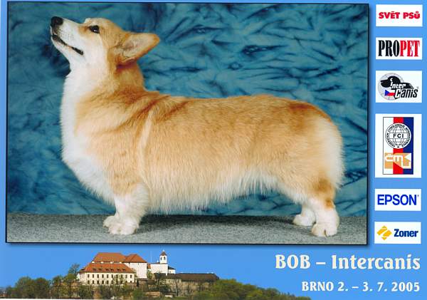 Nirvana Kusa Regalia